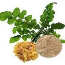 Extract de Boswellia